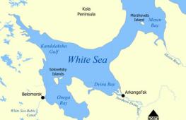 Общая физико-географическая характеристика белого моря Южное побережье белого моря