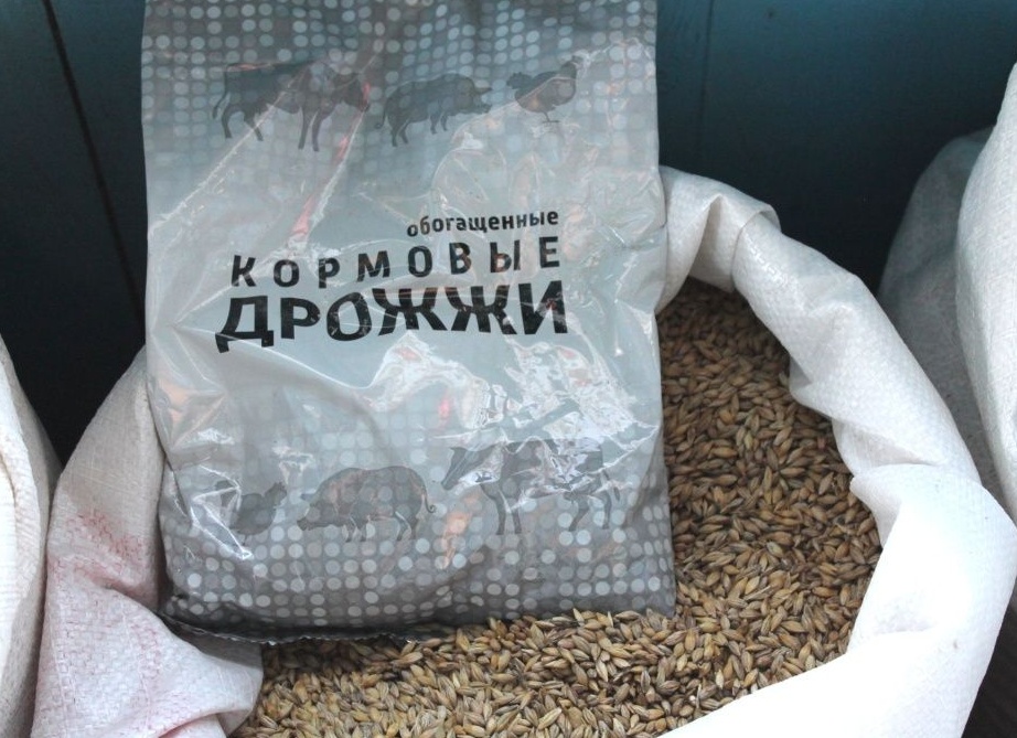 Кормовые дрожжи в рационе скота и домашней птицы