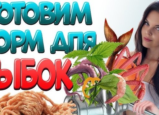 Сделай сам кошачий корм своими руками: 3 рецепта быстро и много, чтобы заморозить 🍲