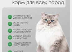 Как хранить сухой корм. 10 правил хранения гранулированных кормов для кошек и собак
