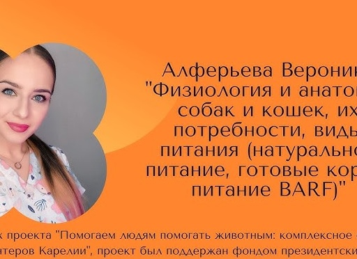 Готовые корма для собак и кошек. Чем я кормлю своих питомцев.