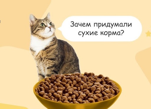 Кто и зачем придумал корм для кошек и собак, если они могут есть человеческую еду. История корма для животных