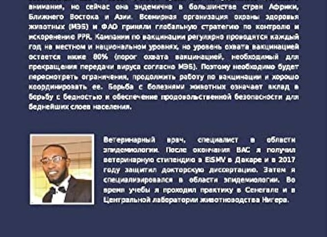 Почему овцеводство считается одним из самых выгодных видов животноводства