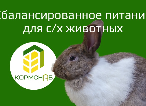 Что такое сбалансированное питание для сельскохозяйственных животных?