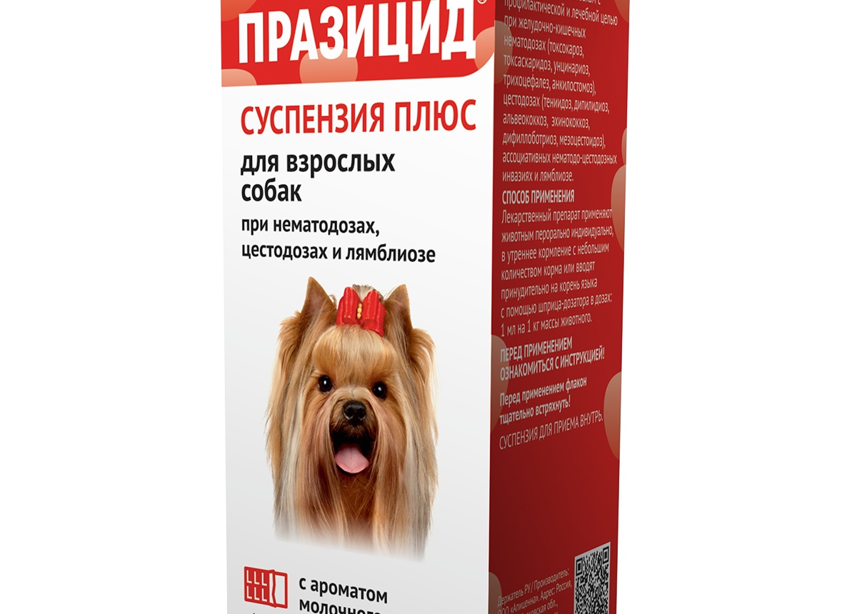 10 новых российских кормов для собак и кошек, которые есть за что похвалить