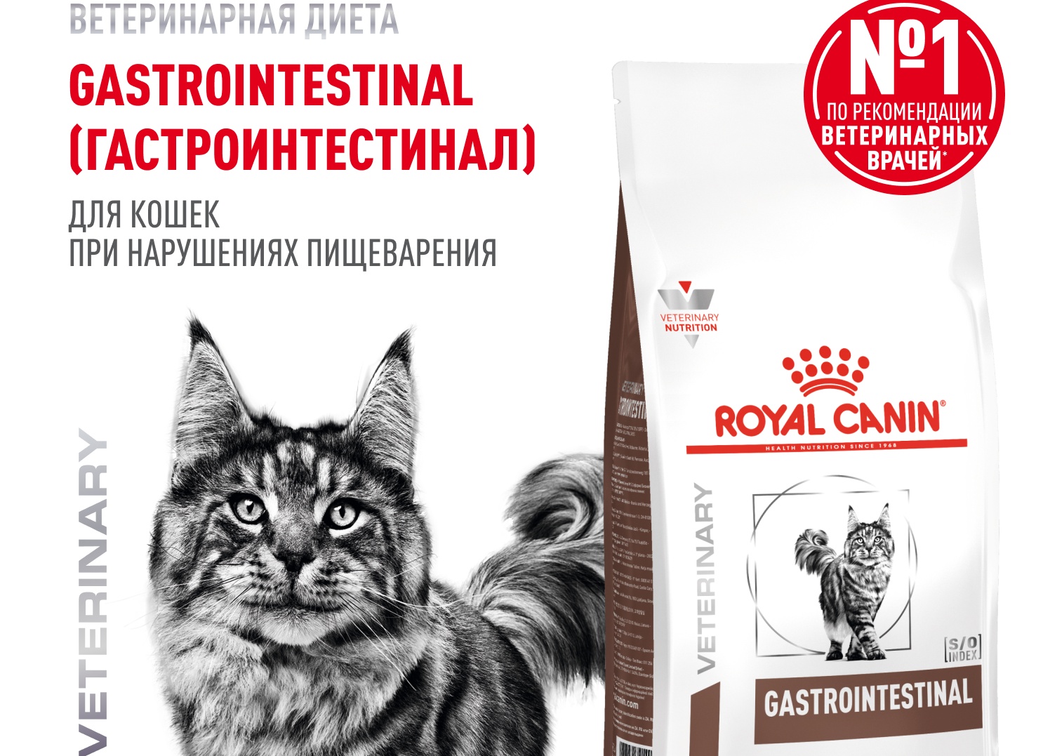 Лечебные корма для кошек: что это и для чего нужно