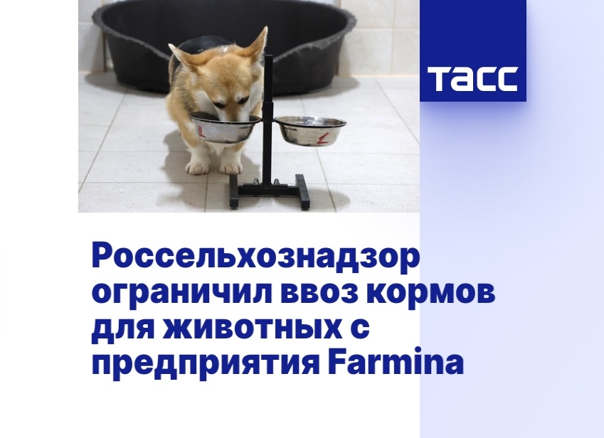 Россельхознадзор ограничил ввоз в Россию кормов для животных с сербского предприятия Farmina Pet Foods из-за обнаруженного в них мышьяка. Читайте на 