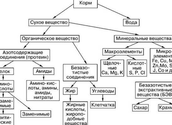 Химические составы кормов