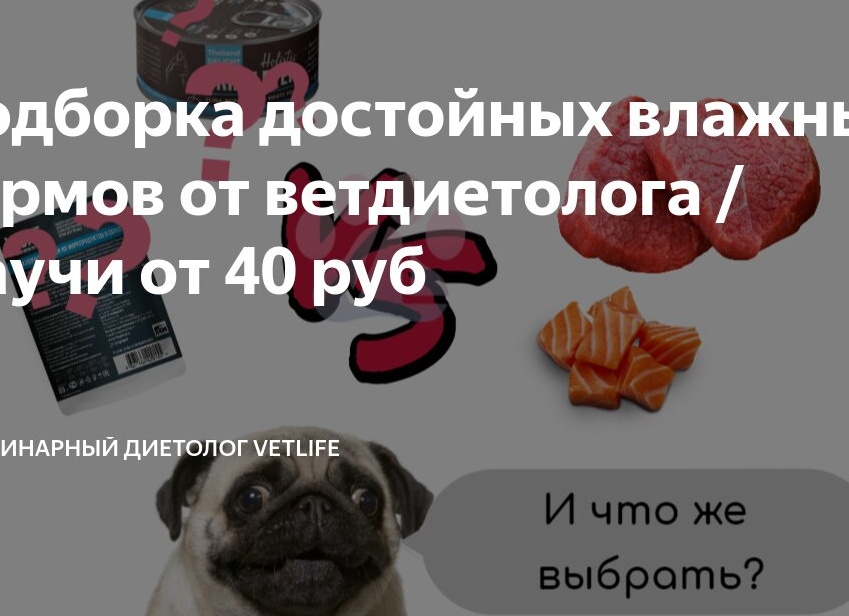 Подборка достойных влажных кормов от ветдиетолога / Паучи от 40 руб