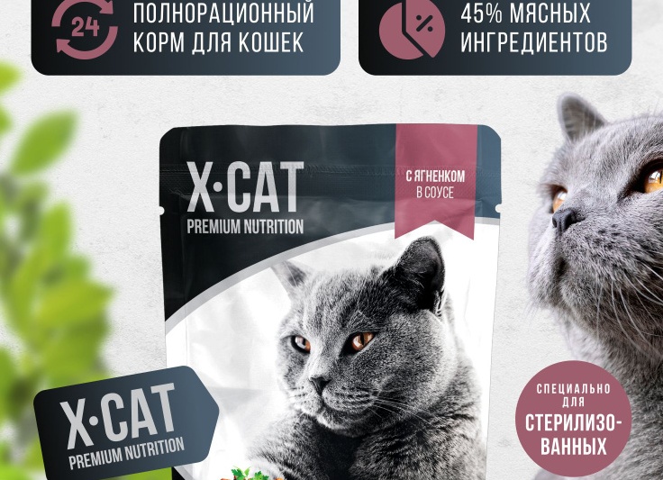 Ветеринарный анализ составов влажных кормов X-CAT и X-DOG
