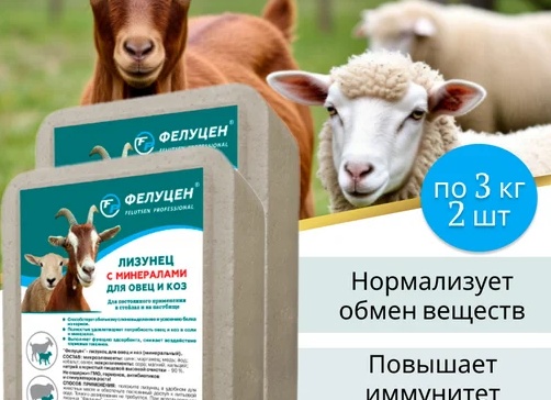 Добавки для коз: какие кормовые добавки стоит добавить в рацион вашей козы