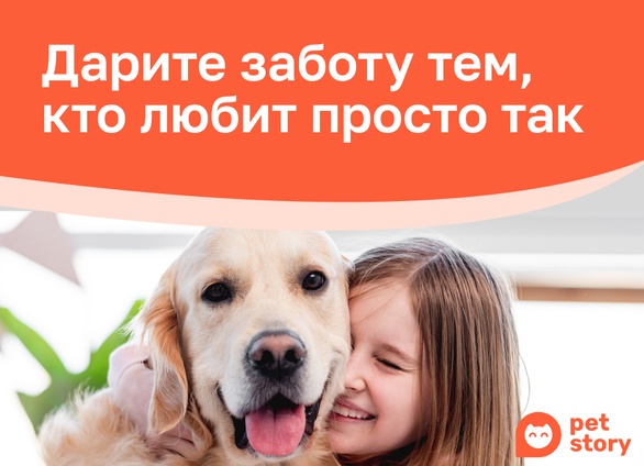 5 мифов о готовых кормах для домашних животных