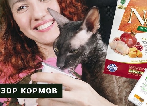 Озбор сухих кормов для кошек Farmina N&D. Так должен выглядеть состав кормов класса холистик
