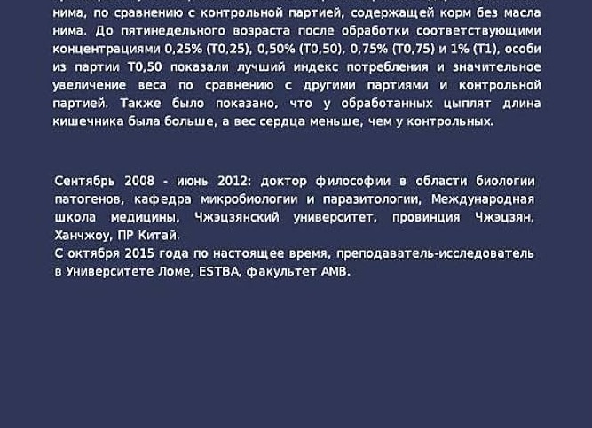 Корм для животных в условиях санкций: какие бренды кормов для кошек и собак ушли из России. Чем кормить?